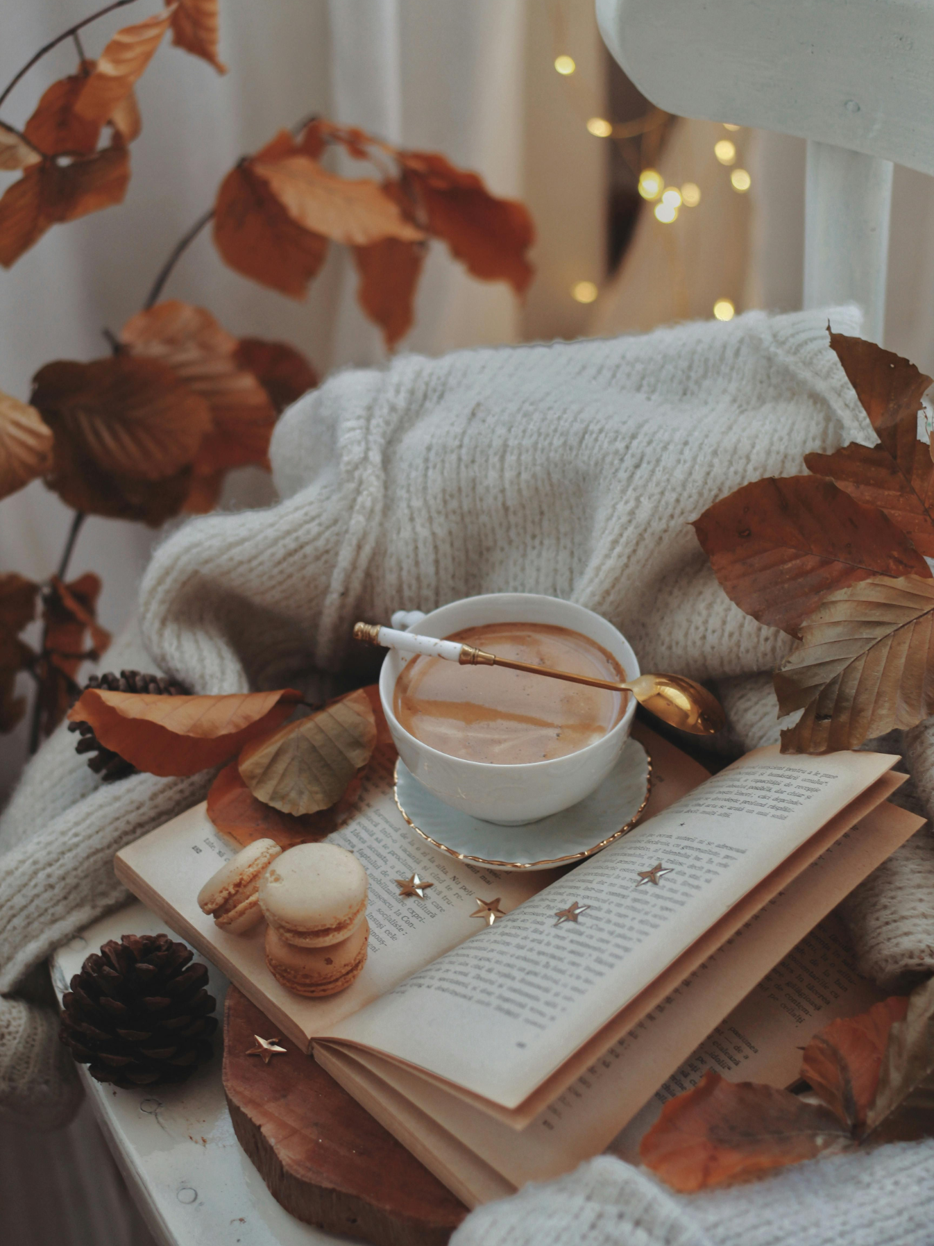 Autumn / Winter