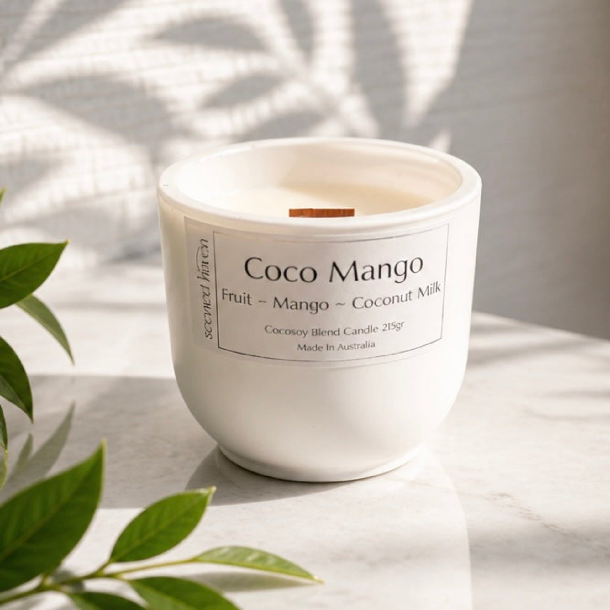 Candle - Mango - Coconut Milk