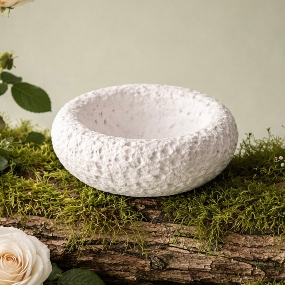 Home Decor Elegance Dish