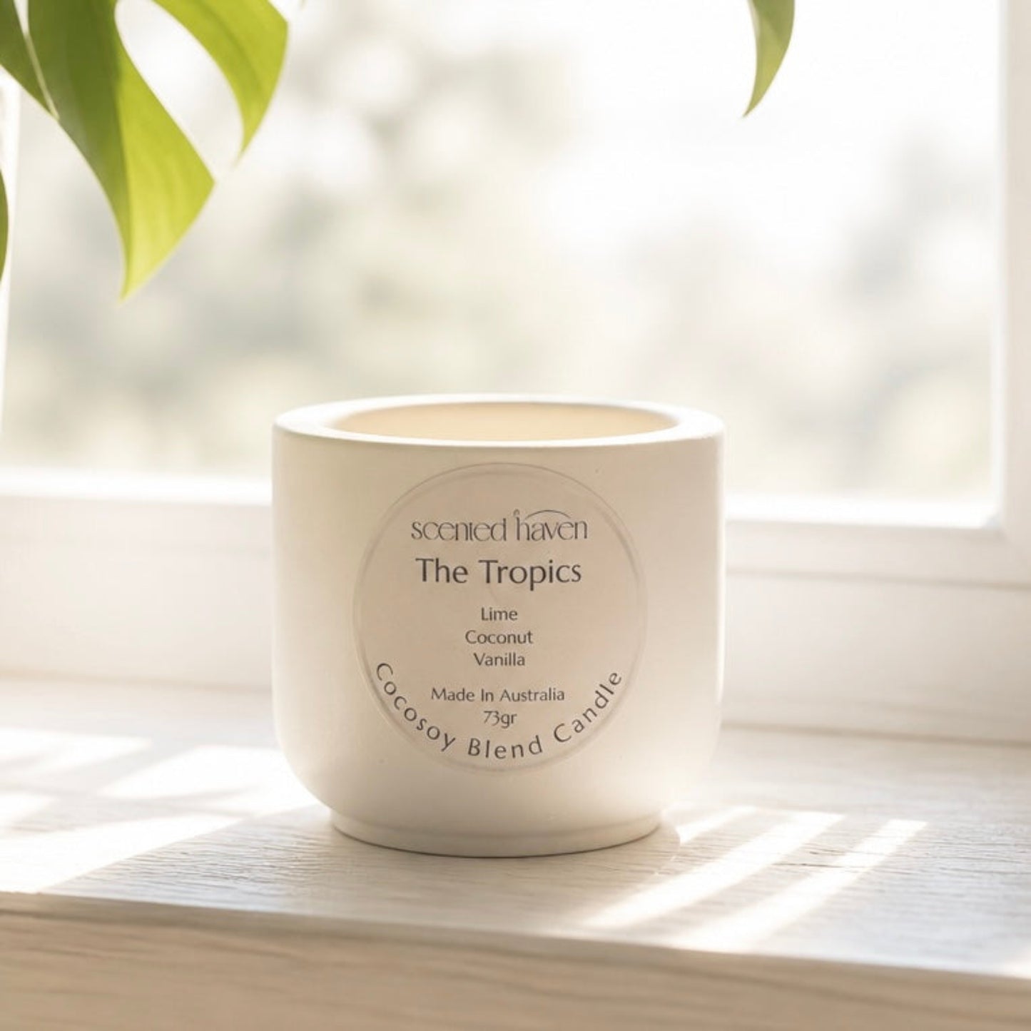 Candle - The Tropics - Coconut Lime Scent