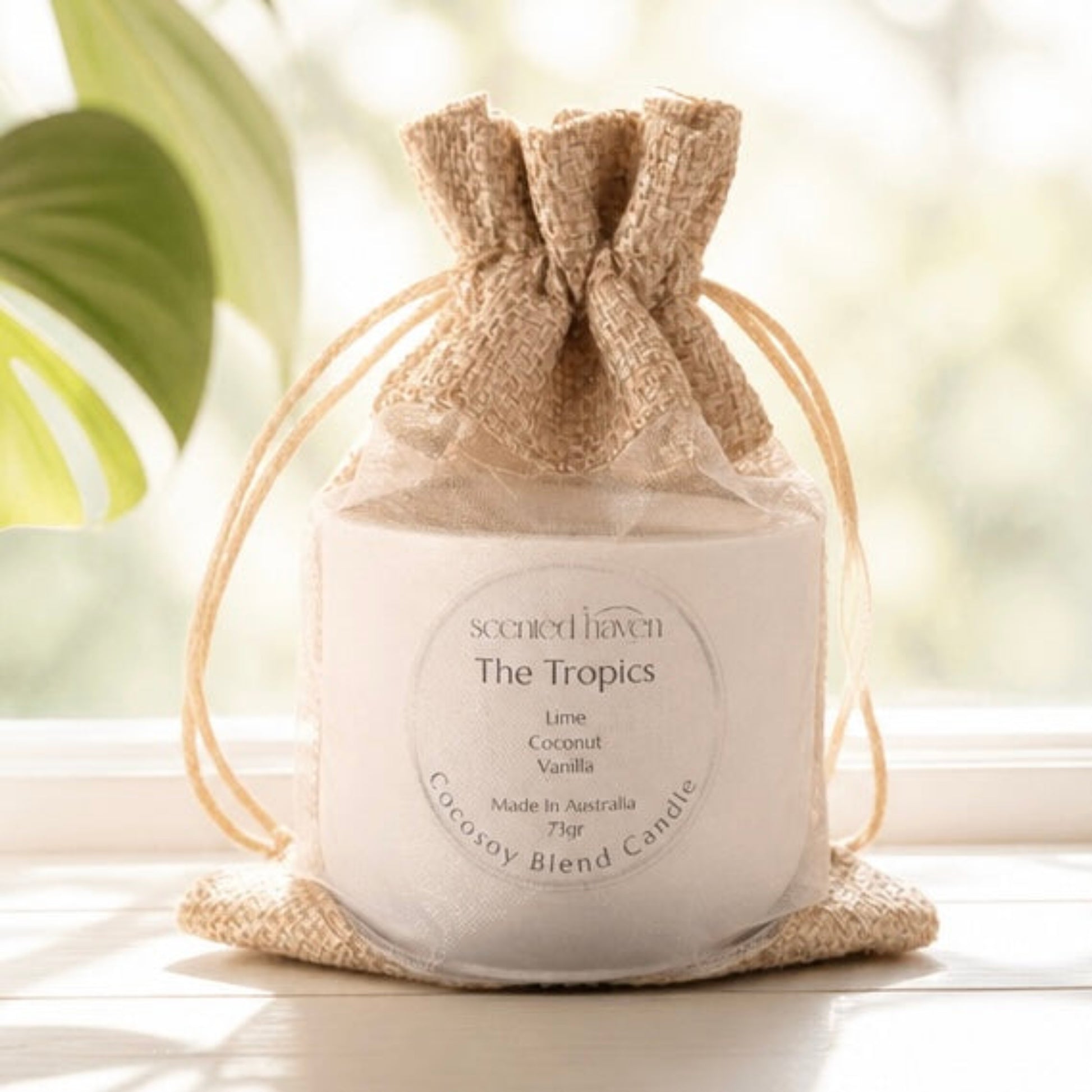 Candle - The Tropics - Coconut Lime Scent